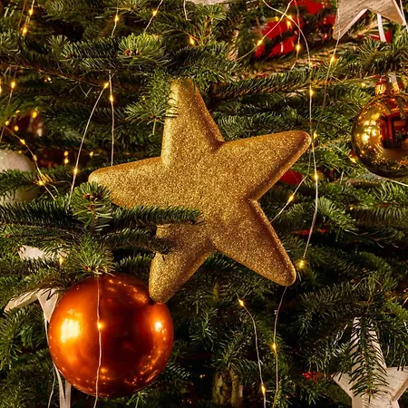 Hotel Le Pavillon 7 4*