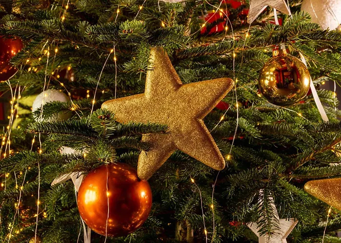 Hotel Le Pavillon 7 4*